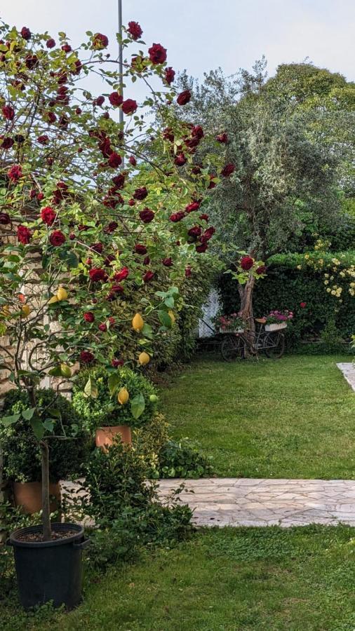 Bed & Breakfast Agli Aceri Verona Exterior photo