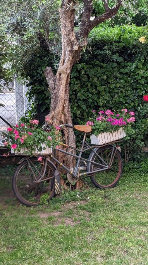 Bed & Breakfast Agli Aceri Verona Exterior photo